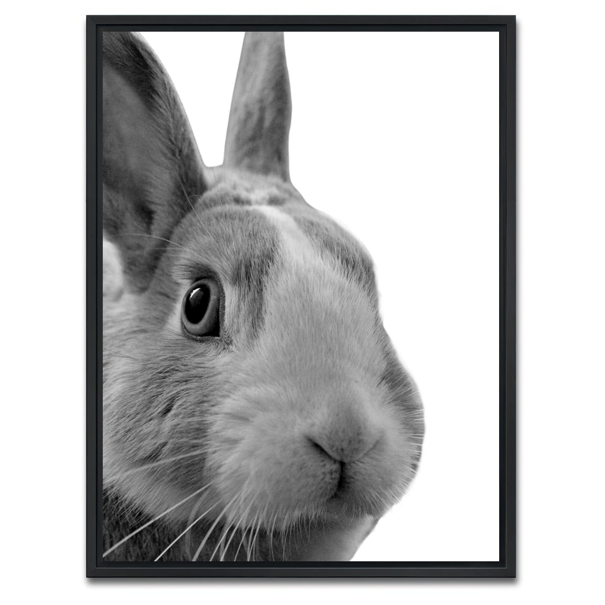AUTO-MOCKUP WHITE | Funny Rabbit | 1 Piece | Black Framed Canvas | group=3x4