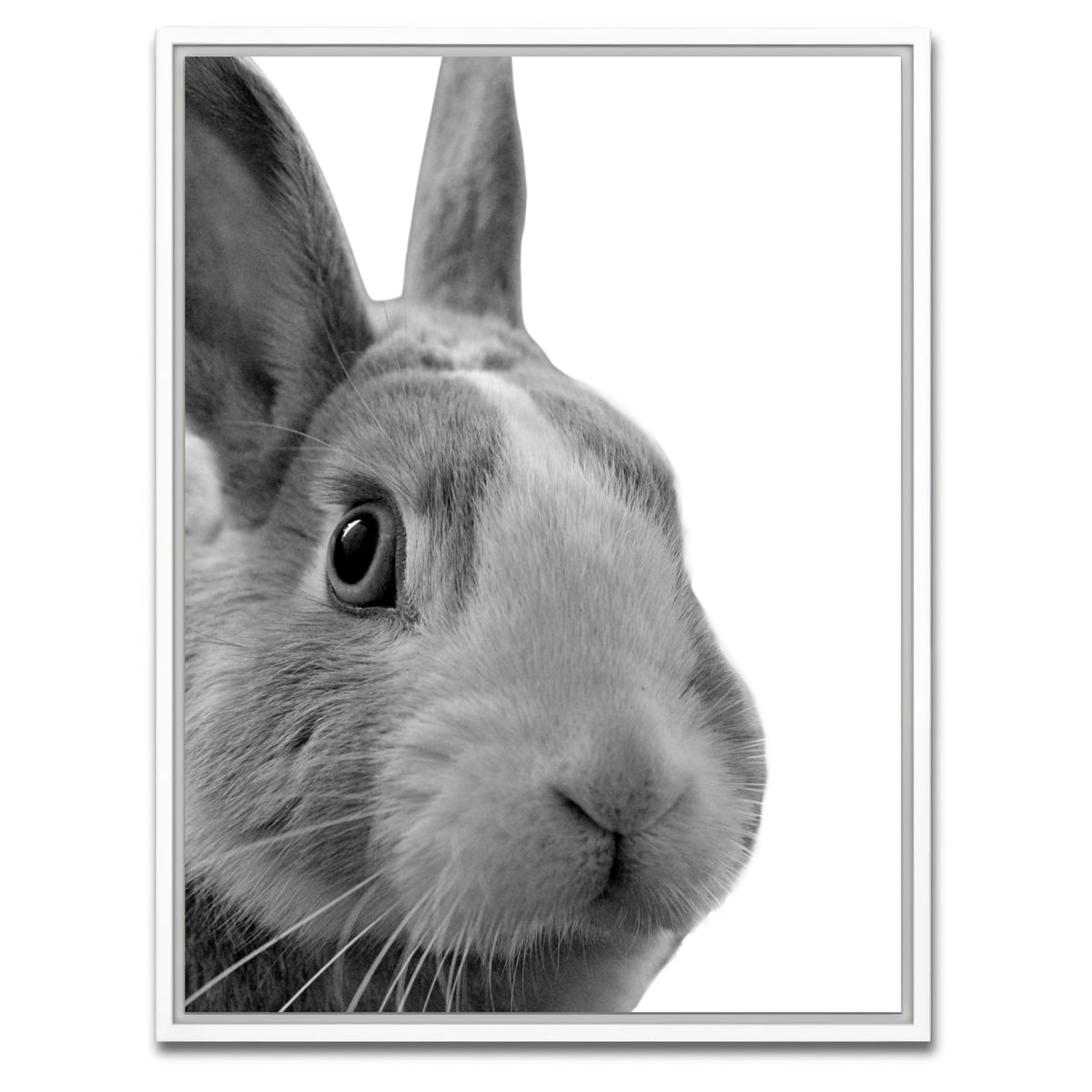AUTO-MOCKUP WHITE | Funny Rabbit | 1 Piece | White Framed Canvas | group=3x4