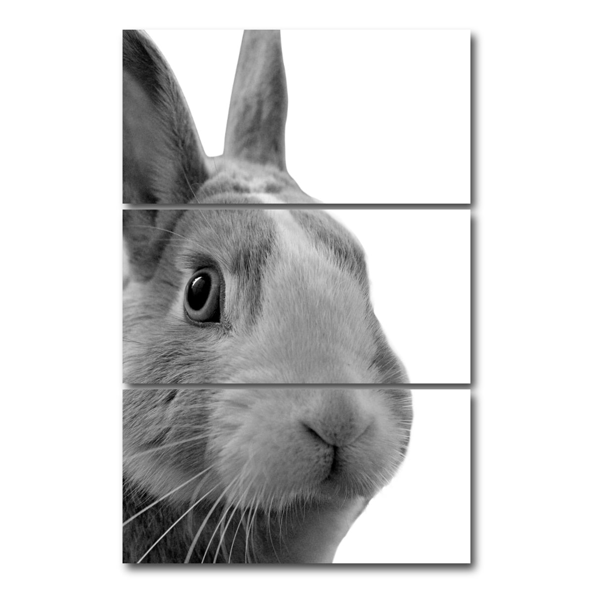 AUTO-MOCKUP WHITE | Funny Rabbit | 3 Piece | Gallery Wrap Canvas | group=12x24_stacked