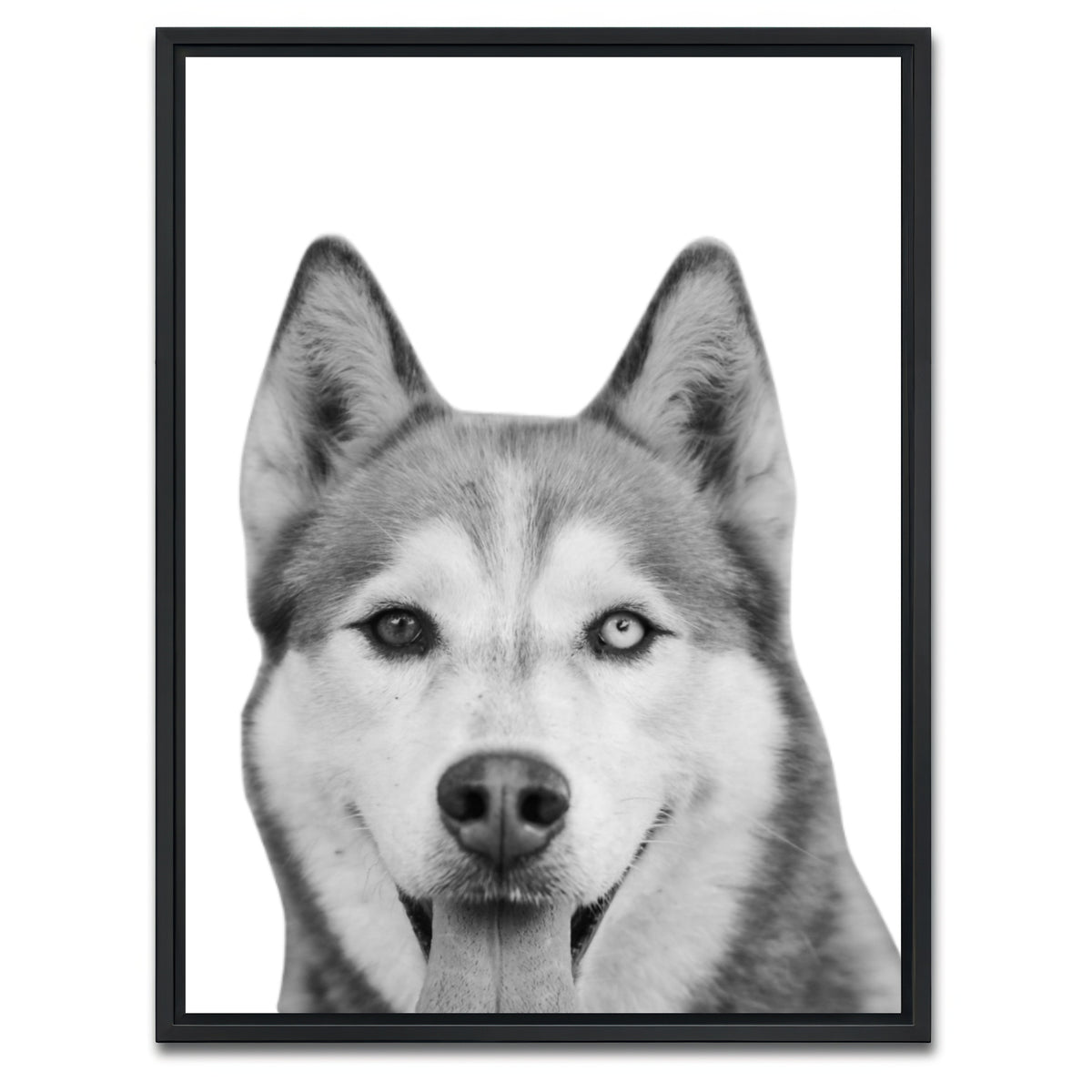 AUTO-MOCKUP WHITE | Funny Siberian Husky | 1 Piece | Black Framed Canvas | group=3x4