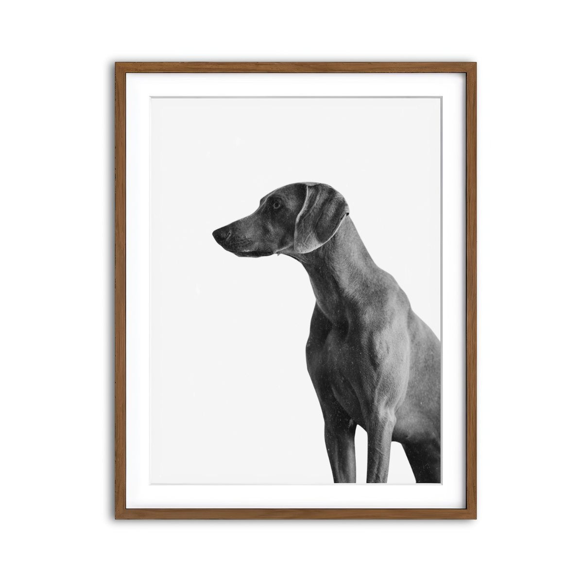 Framed Print 3x4 Walnut