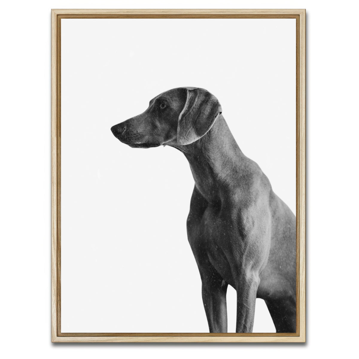 AUTO-MOCKUP WHITE | Gazing Dog | 1 Piece | Natural Framed Canvas | group=3x4