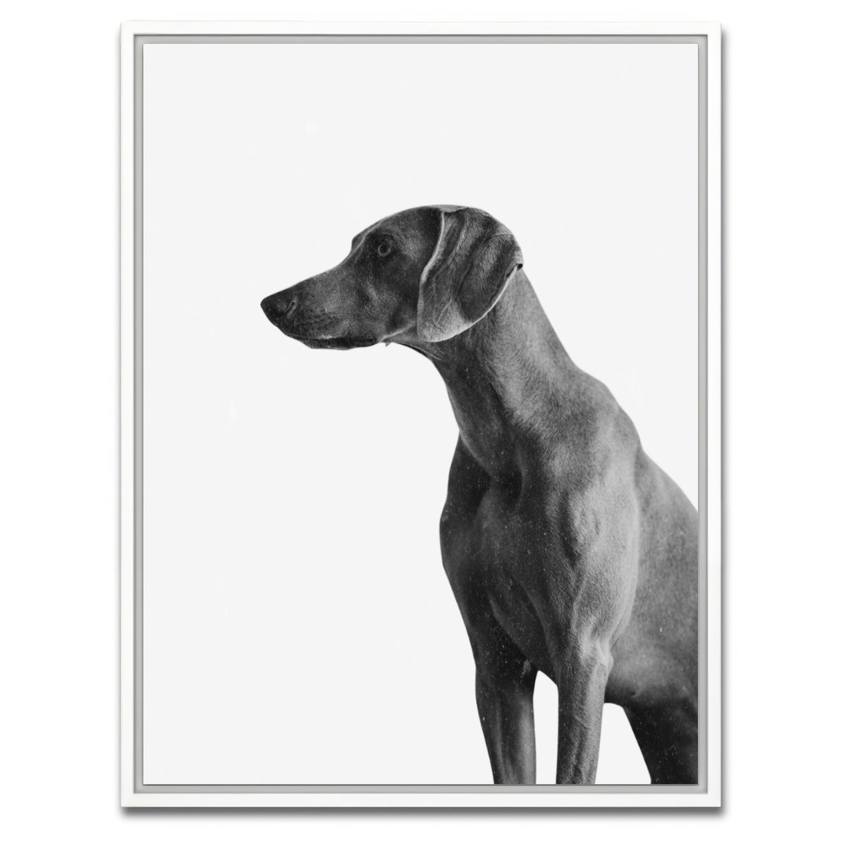 AUTO-MOCKUP WHITE | Gazing Dog | 1 Piece | White Framed Canvas | group=3x4