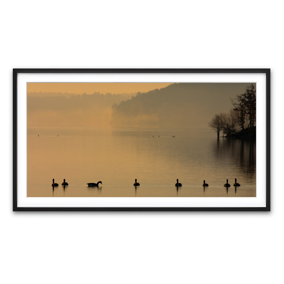Framed Print 2x1 Black