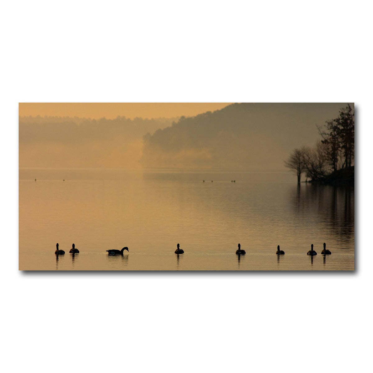 AUTO-MOCKUP WHITE | Geese on Lake Degray | 1 Piece | Gallery Wrap Canvas | group=2x1