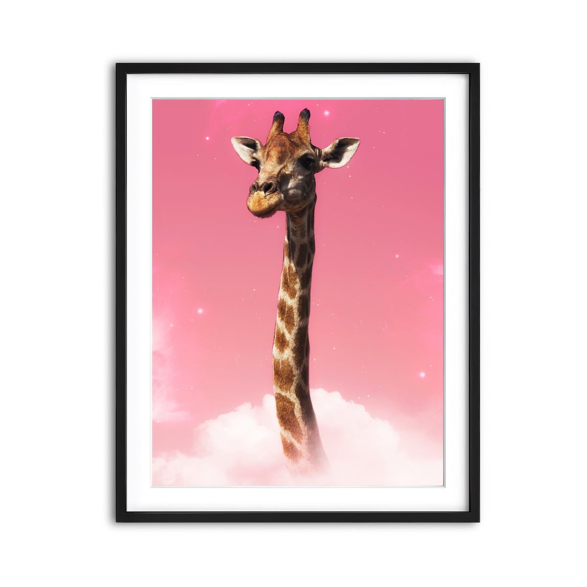 Framed Print 3x4 Black