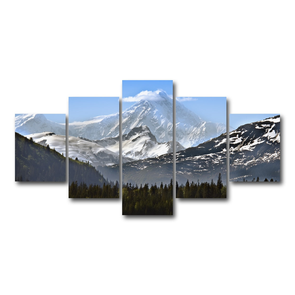 AUTO-MOCKUP WHITE | Glacier Bay National Park Alaska | 5 Piece | Gallery Wrap Canvas | group=5_short