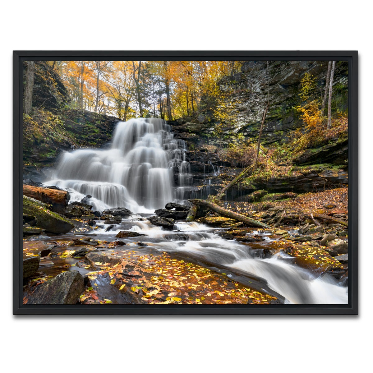 AUTO-MOCKUP WHITE | Glass Half Full | 1 Piece | Black Framed Canvas | group=4x3
