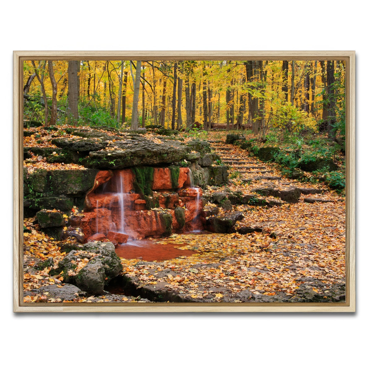 AUTO-MOCKUP WHITE | Glen Helen Nature Preserve | 1 Piece | Natural Framed Canvas | group=4x3