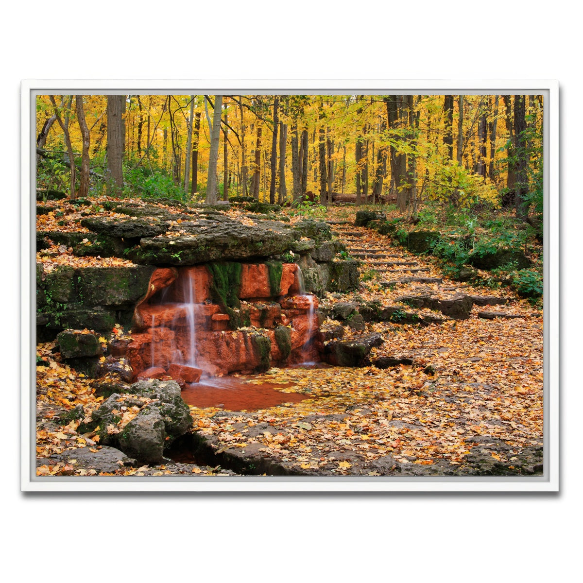 AUTO-MOCKUP WHITE | Glen Helen Nature Preserve | 1 Piece | White Framed Canvas | group=4x3