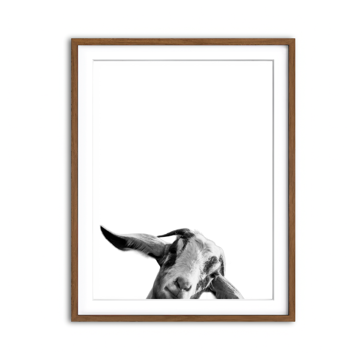 Framed Print 3x4 Walnut