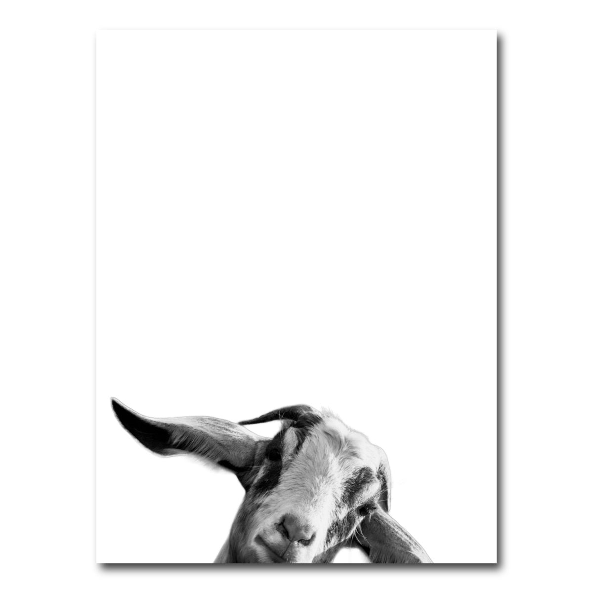 AUTO-MOCKUP WHITE | Goat | 1 Piece | Gallery Wrap Canvas | group=3x4