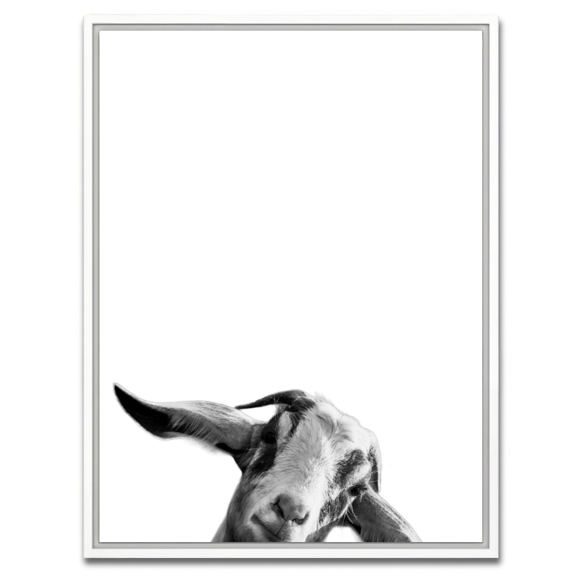 AUTO-MOCKUP WHITE | Goat | 1 Piece | White Framed Canvas | group=3x4