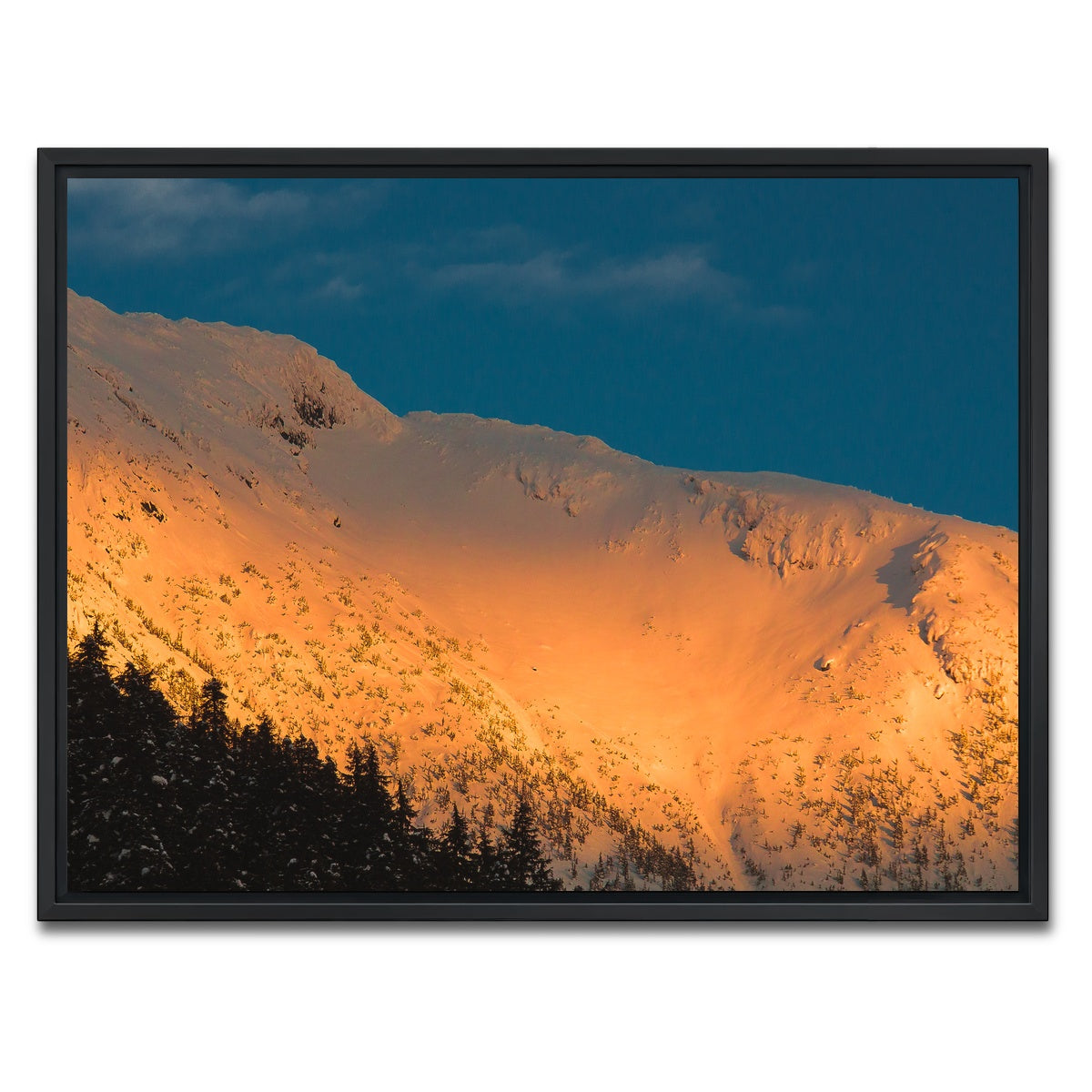 AUTO-MOCKUP WHITE | Gold Crest | 1 Piece | Black Framed Canvas | group=4x3