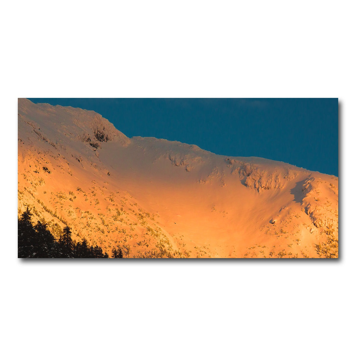 AUTO-MOCKUP WHITE | Gold Crest | 1 Piece | Gallery Wrap Canvas | group=2x1