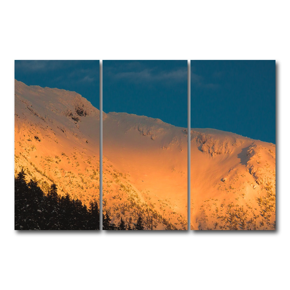 AUTO-MOCKUP WHITE | Gold Crest | 3 Piece | Gallery Wrap Canvas | group=12x24