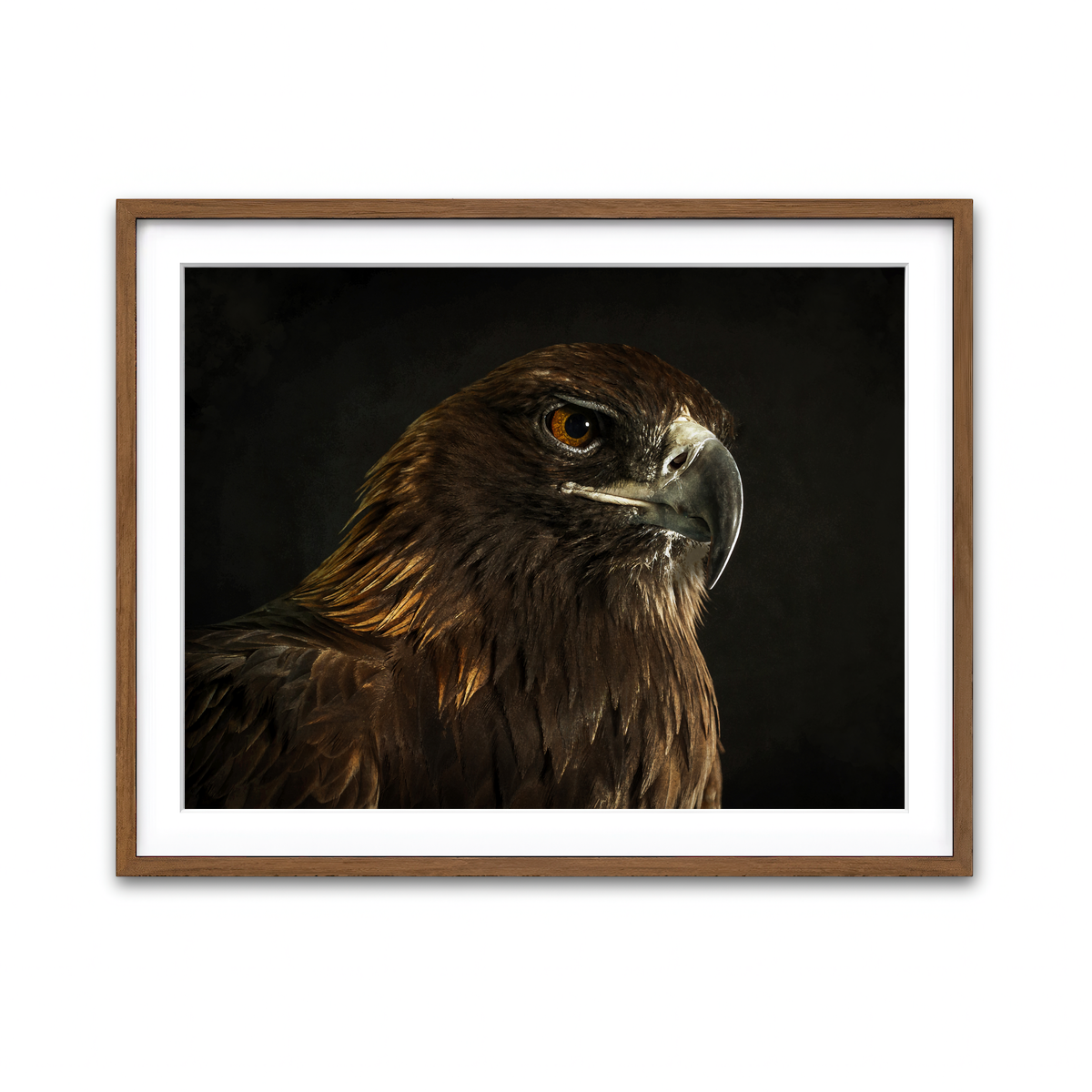 Framed Print 4x3 Walnut