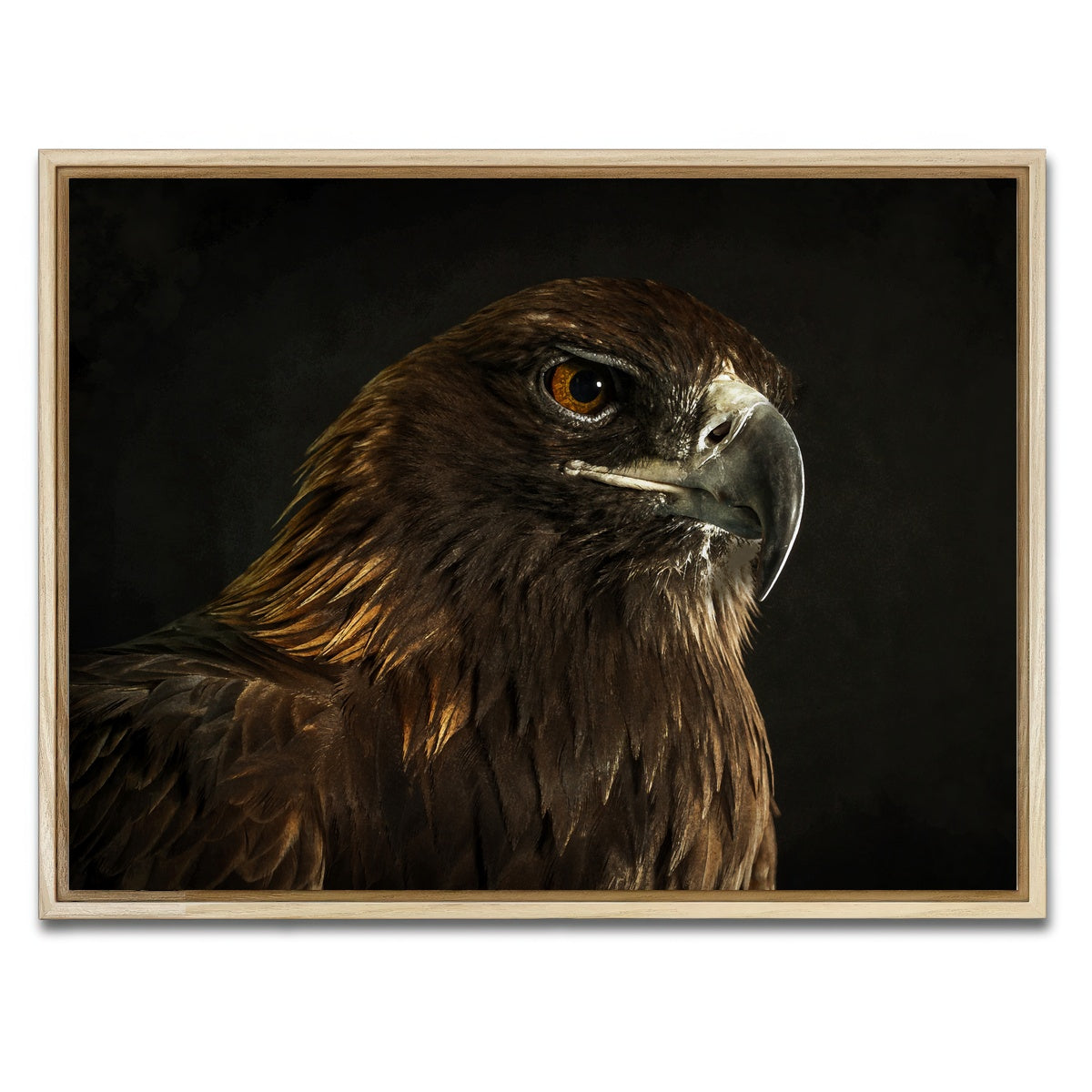 AUTO-MOCKUP WHITE | Golden Eagle | 1 Piece | Natural Framed Canvas | group=4x3