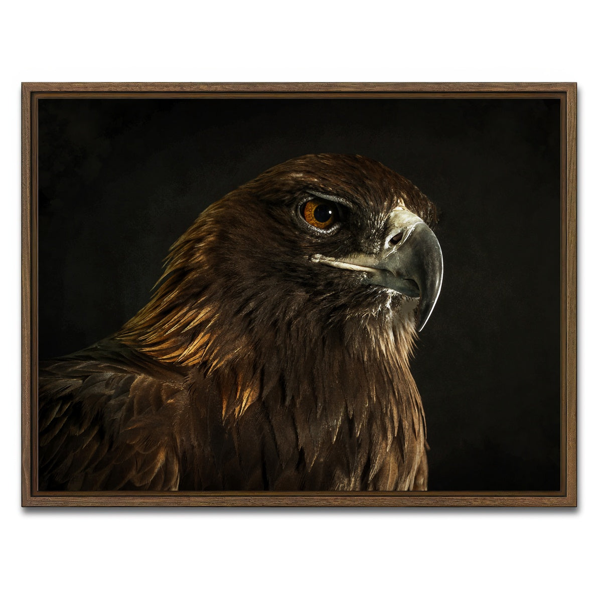 AUTO-MOCKUP WHITE | Golden Eagle | 1 Piece | Walnut Framed Canvas | group=4x3