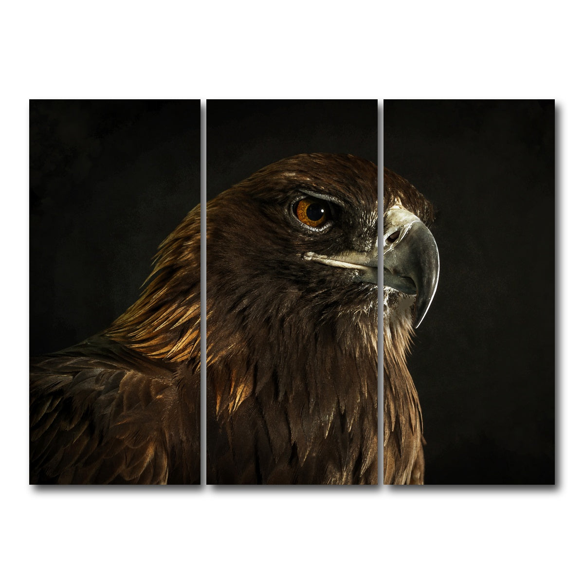 AUTO-MOCKUP WHITE | Golden Eagle | 3 Piece | Gallery Wrap Canvas | group=8x18