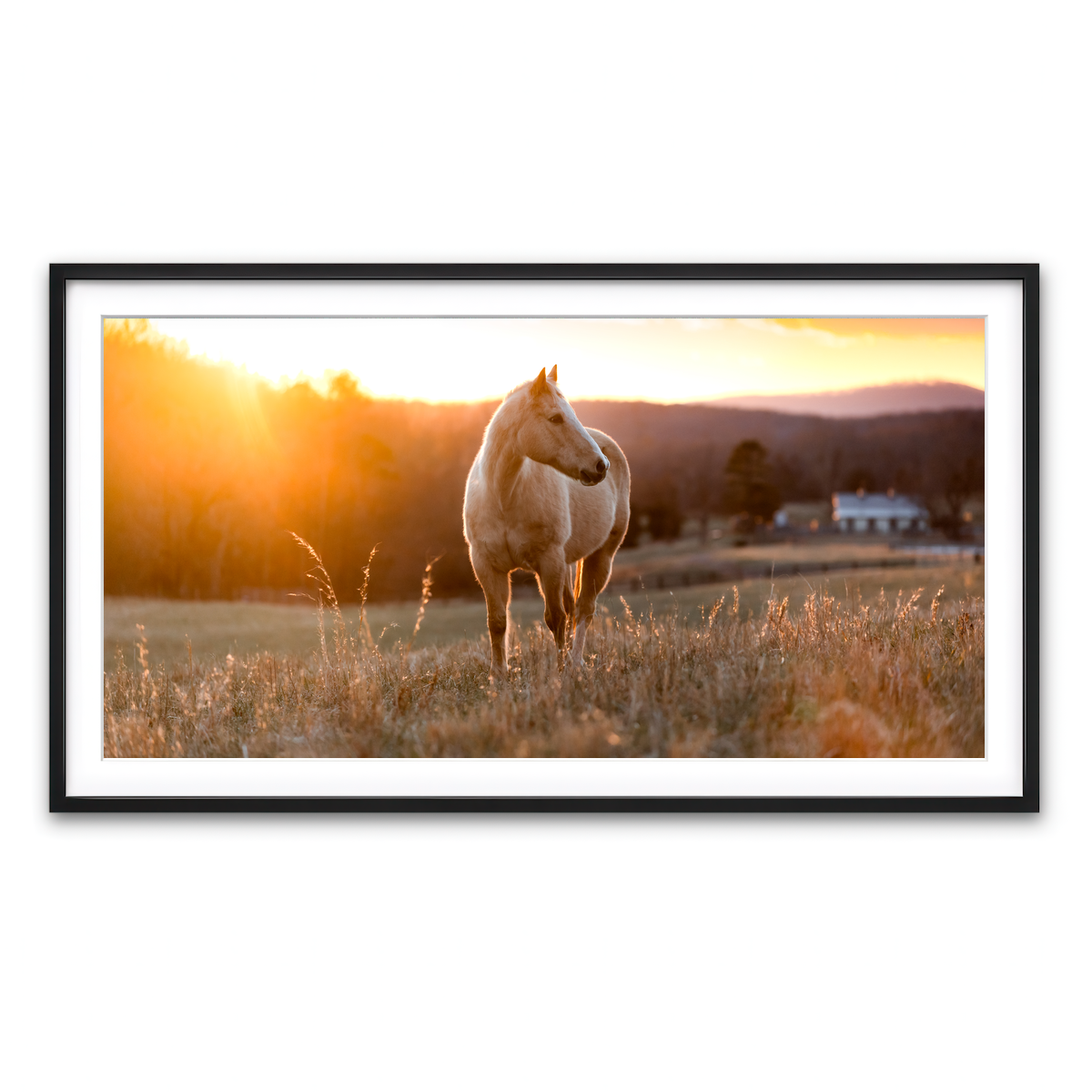 Framed Print 2x1 Black