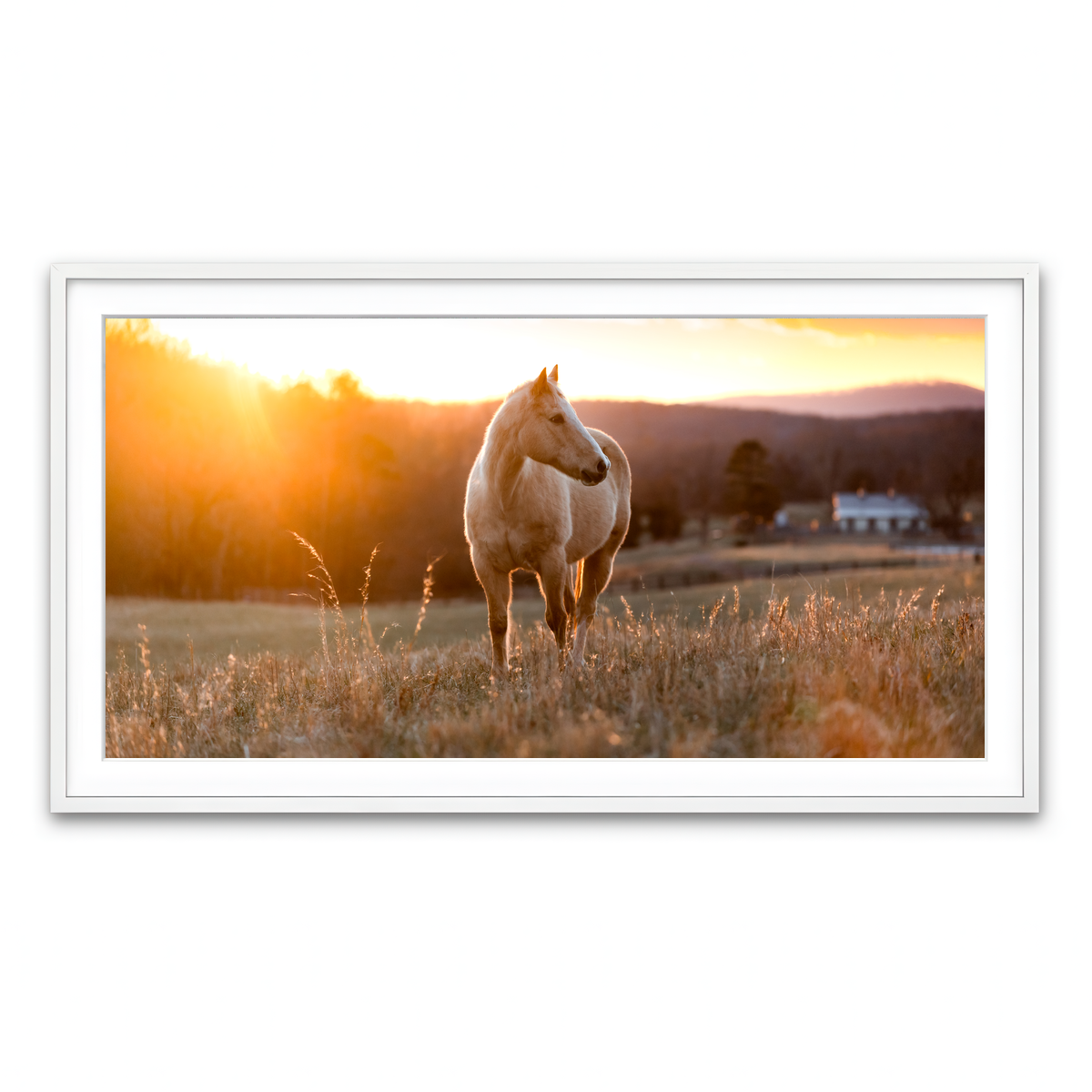 Framed Print 2x1 White