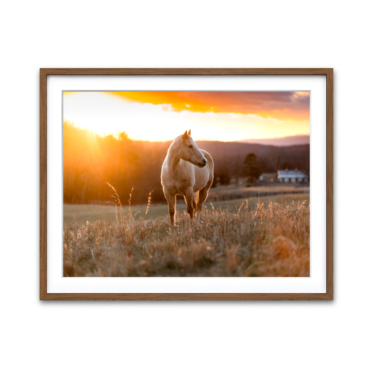 Framed Print 4x3 Walnut