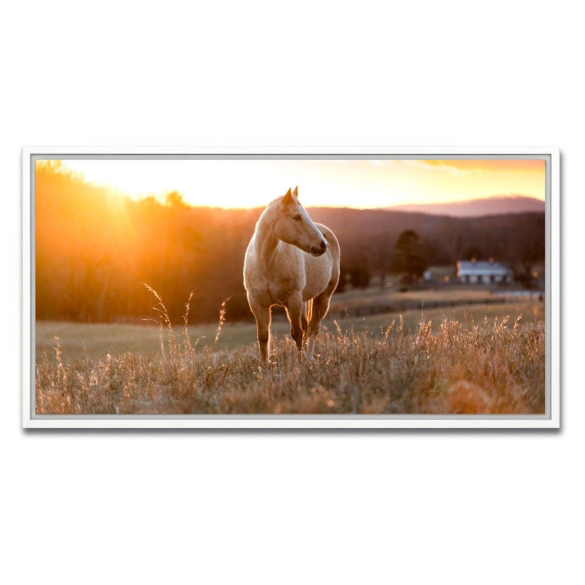 AUTO-MOCKUP WHITE | Golden Horse | 1 Piece | White Framed Canvas | group=2x1