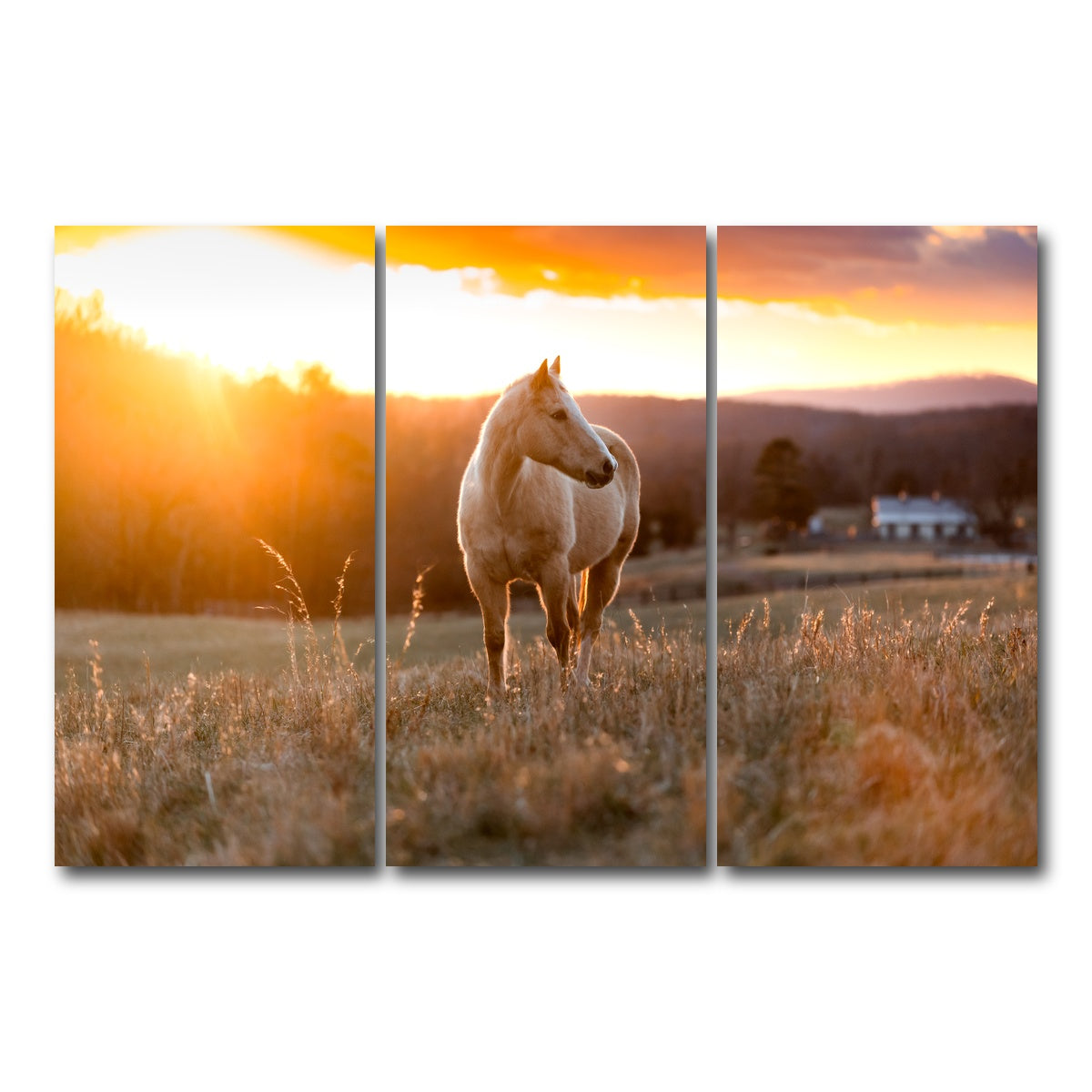 AUTO-MOCKUP WHITE | Golden Horse | 3 Piece | Gallery Wrap Canvas | group=12x24