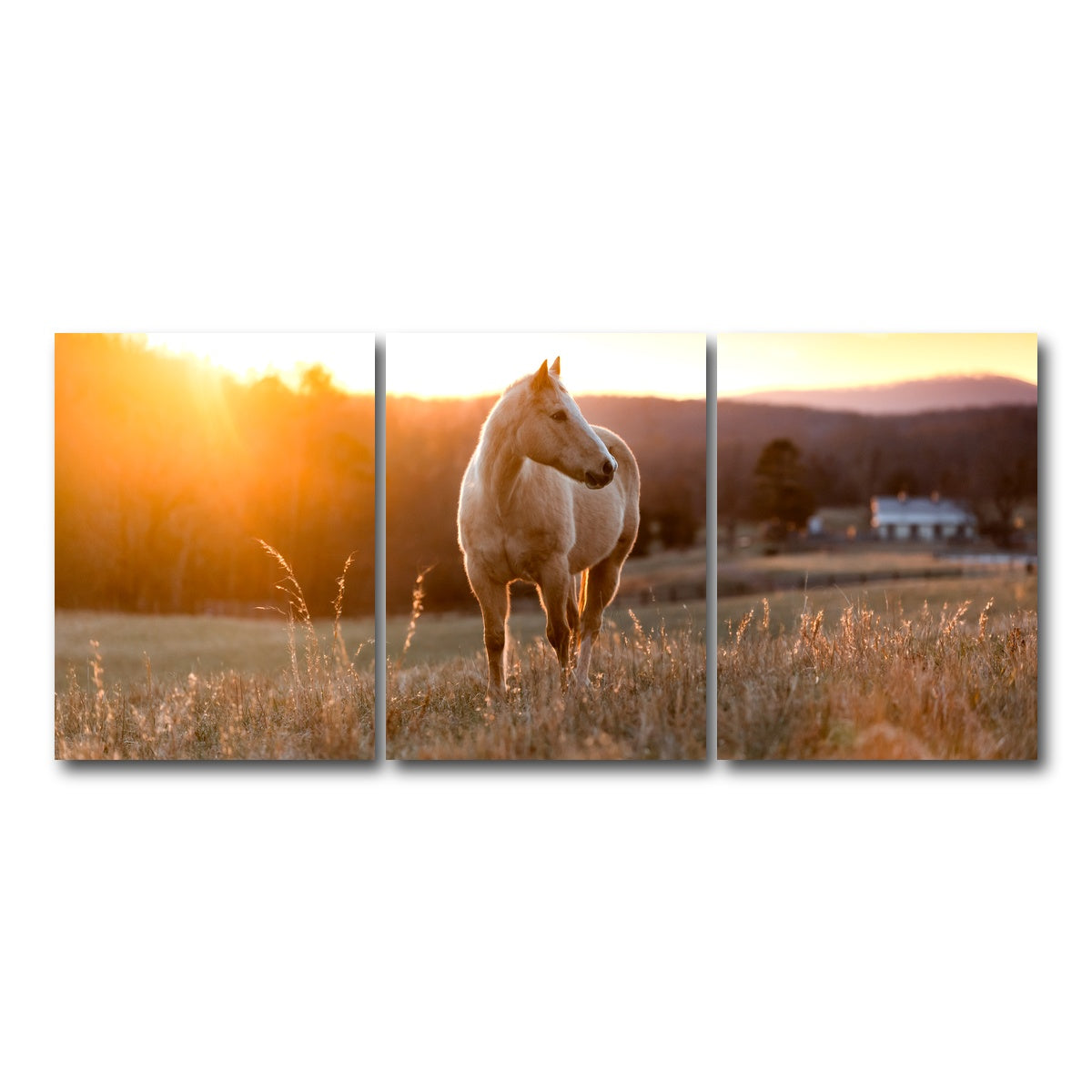 AUTO-MOCKUP WHITE | Golden Horse | 3 Piece | Gallery Wrap Canvas | group=18x24