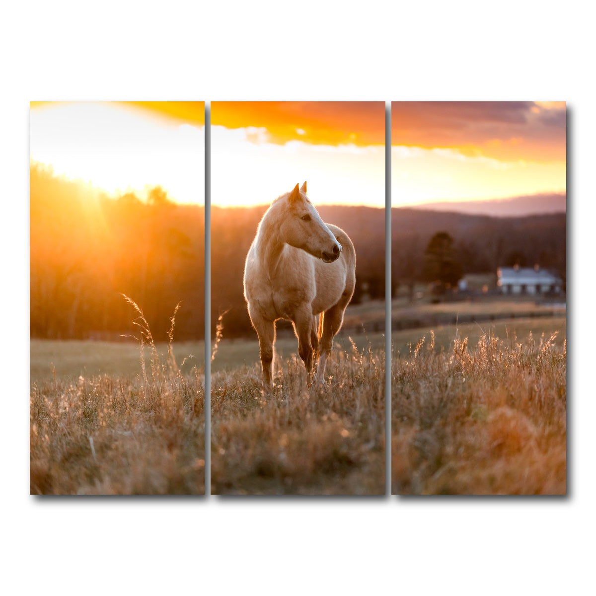 AUTO-MOCKUP WHITE | Golden Horse | 3 Piece | Gallery Wrap Canvas | group=8x18