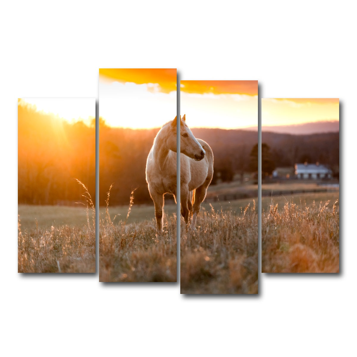 AUTO-MOCKUP WHITE | Golden Horse | 4 Piece | Gallery Wrap Canvas | group=4_normal