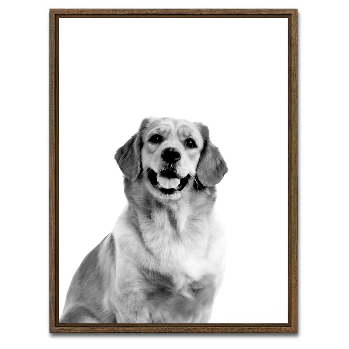AUTO-MOCKUP WHITE | Golden Retriever | 1 Piece | Walnut Framed Canvas | group=3x4