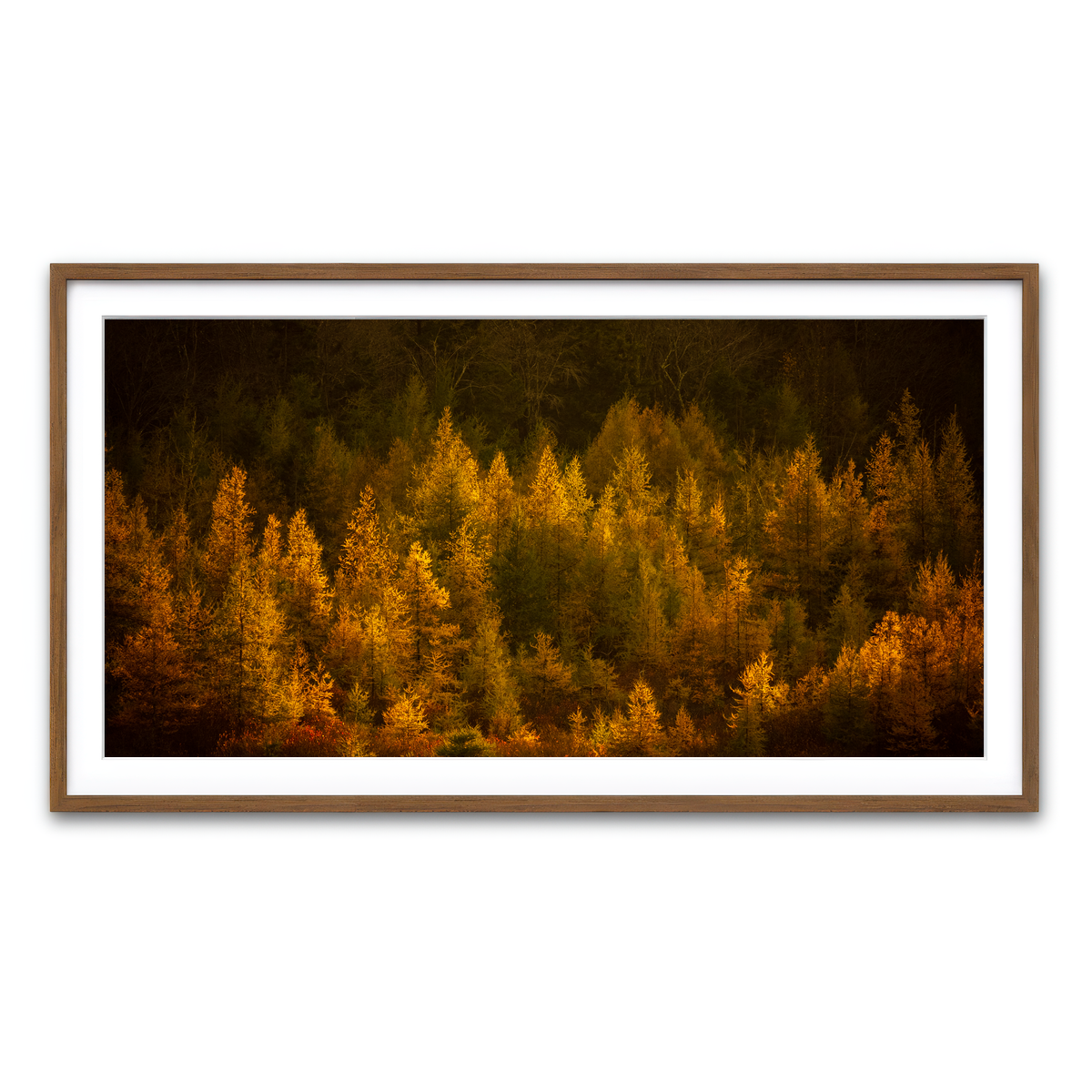 Framed Print 2x1 Walnut