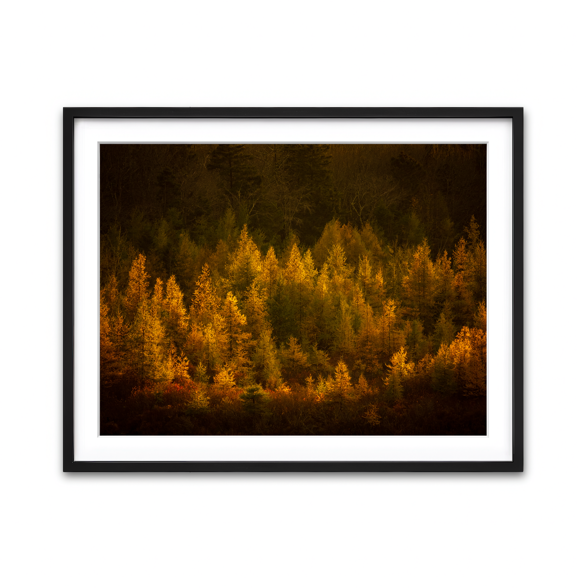 Framed Print 4x3 Black