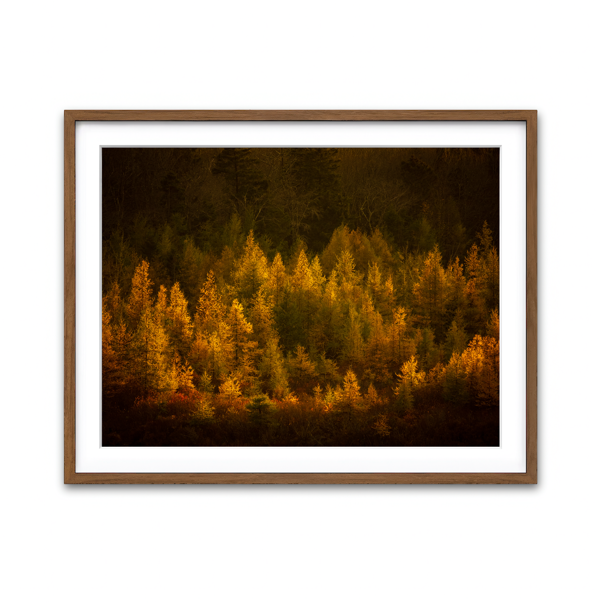 Framed Print 4x3 Walnut