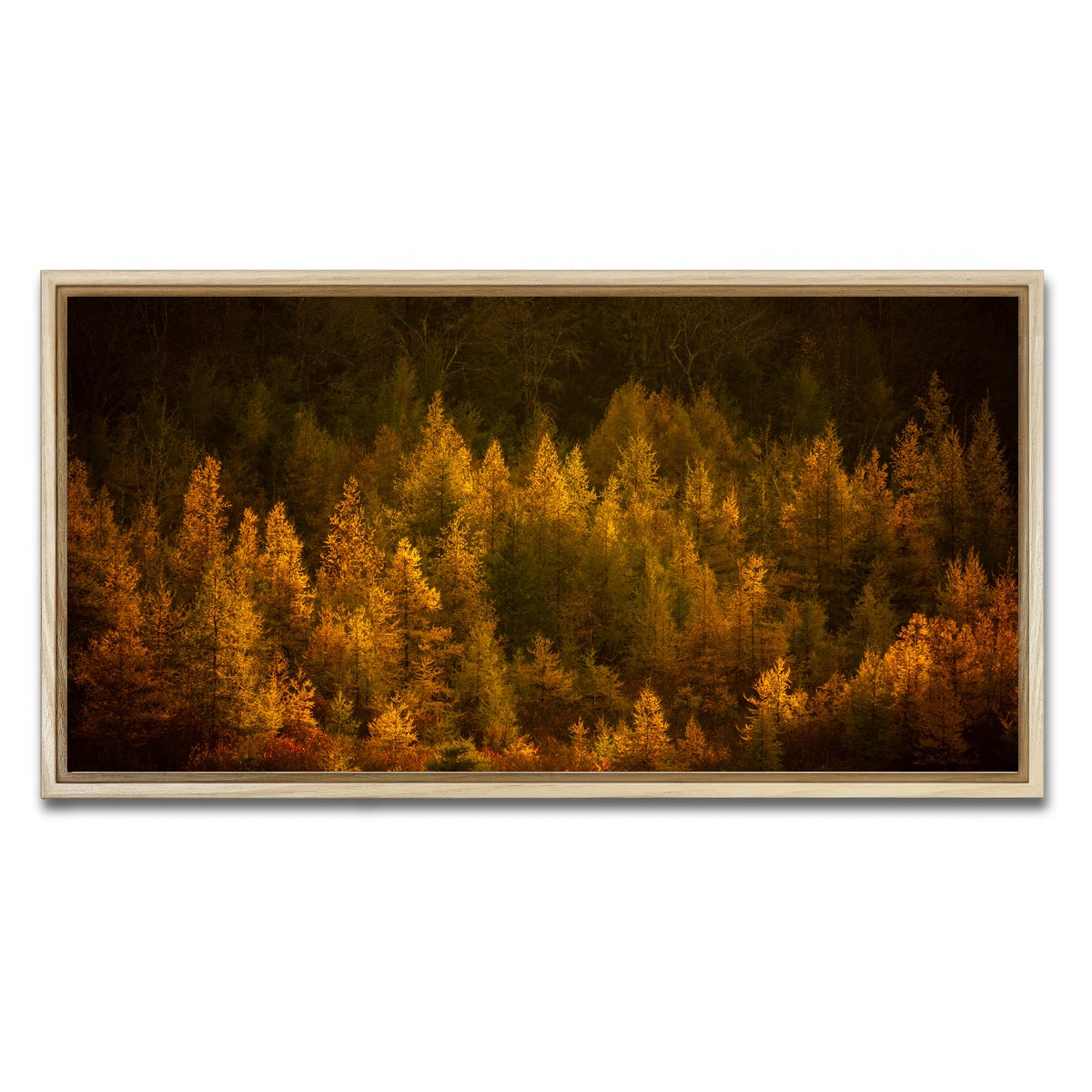 AUTO-MOCKUP WHITE | Golden Slumber | 1 Piece | Natural Framed Canvas | group=2x1
