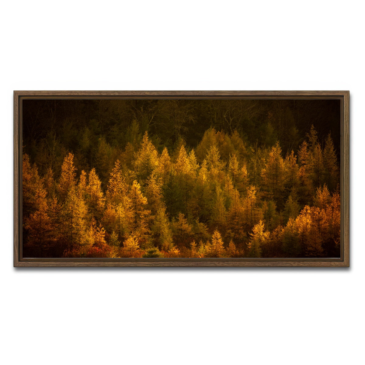 AUTO-MOCKUP WHITE | Golden Slumber | 1 Piece | Walnut Framed Canvas | group=2x1