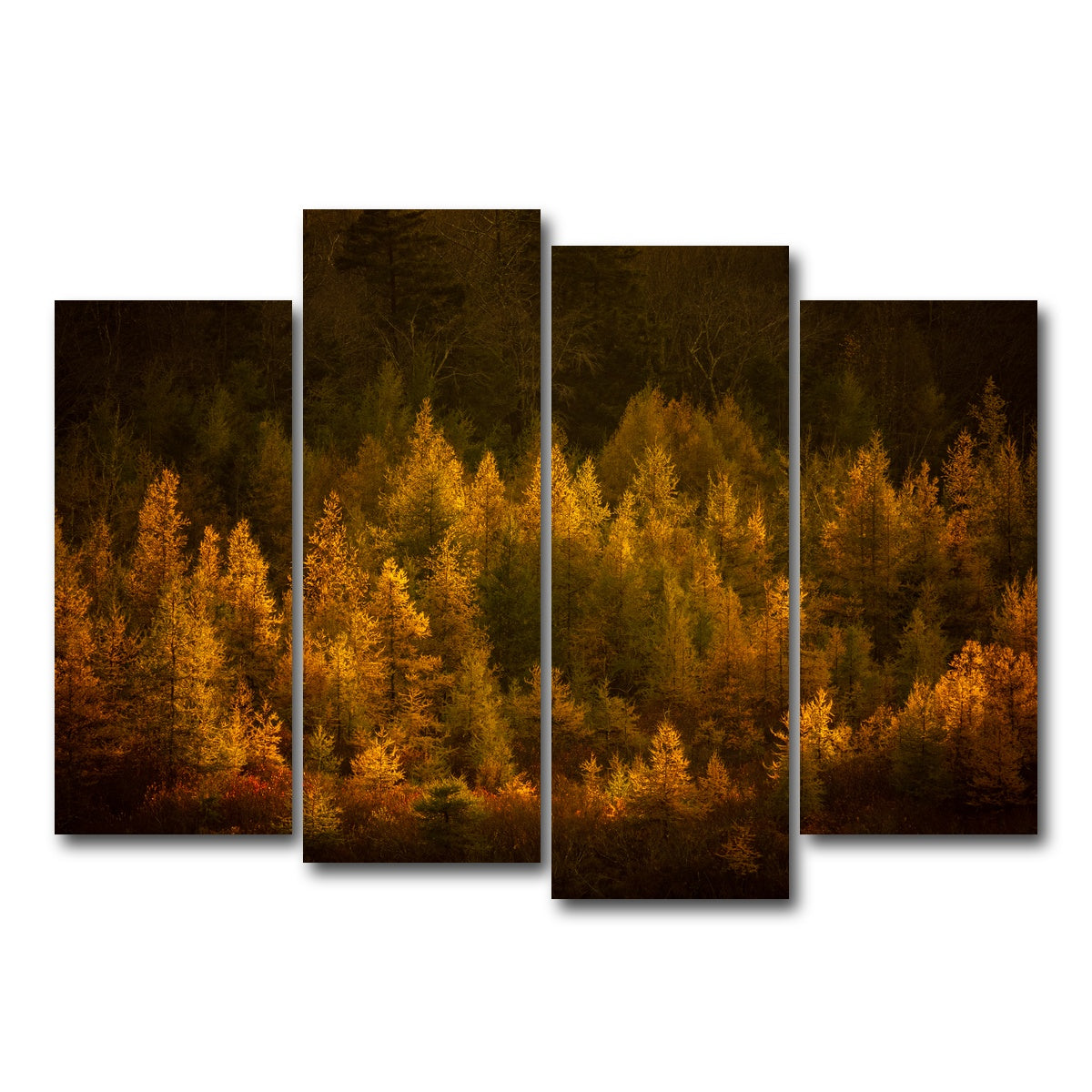 AUTO-MOCKUP WHITE | Golden Slumber | 4 Piece | Gallery Wrap Canvas | group=4_normal