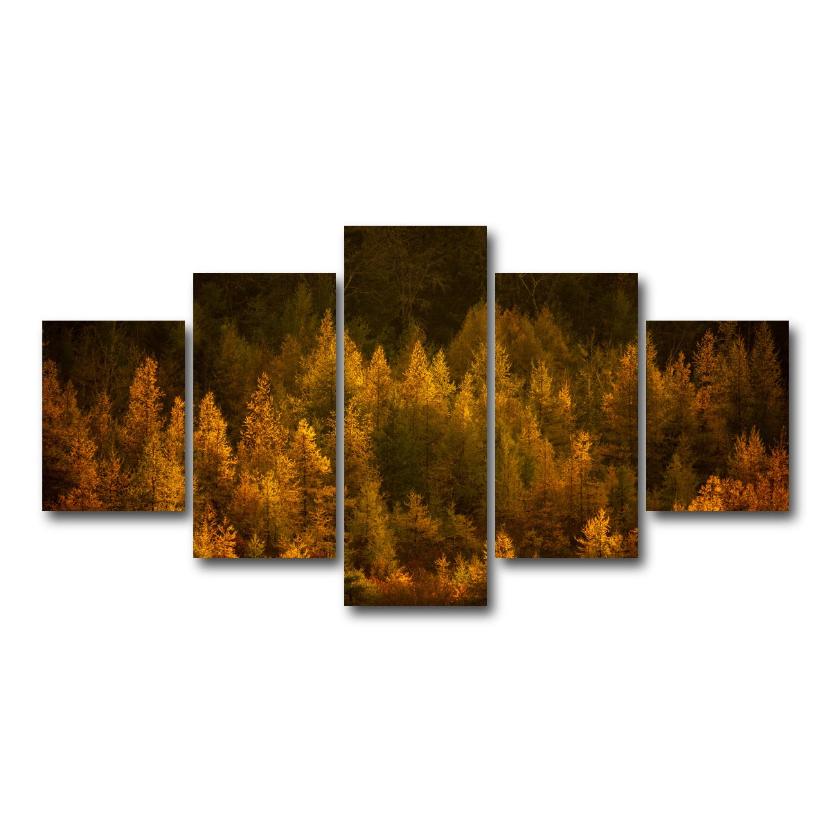 AUTO-MOCKUP WHITE | Golden Slumber | 5 Piece | Gallery Wrap Canvas | group=5_short