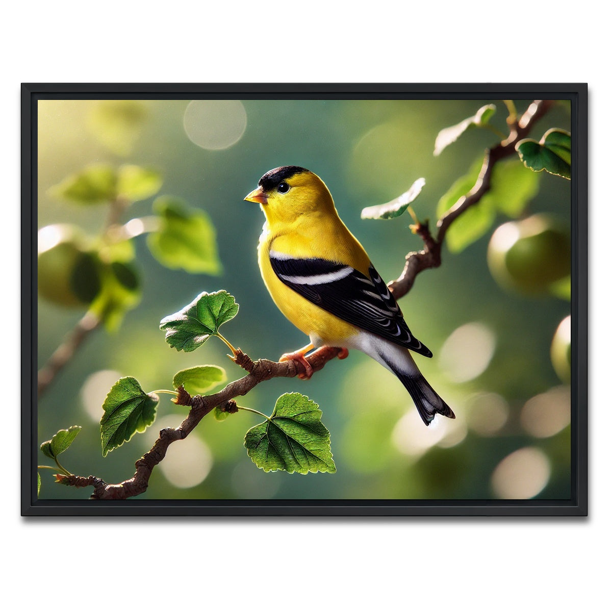 AUTO-MOCKUP WHITE | Goldfinch | 1 Piece | Black Framed Canvas | group=4x3