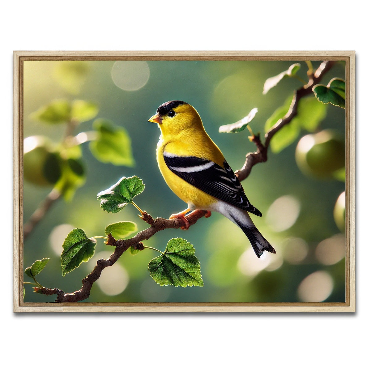 AUTO-MOCKUP WHITE | Goldfinch | 1 Piece | Natural Framed Canvas | group=4x3
