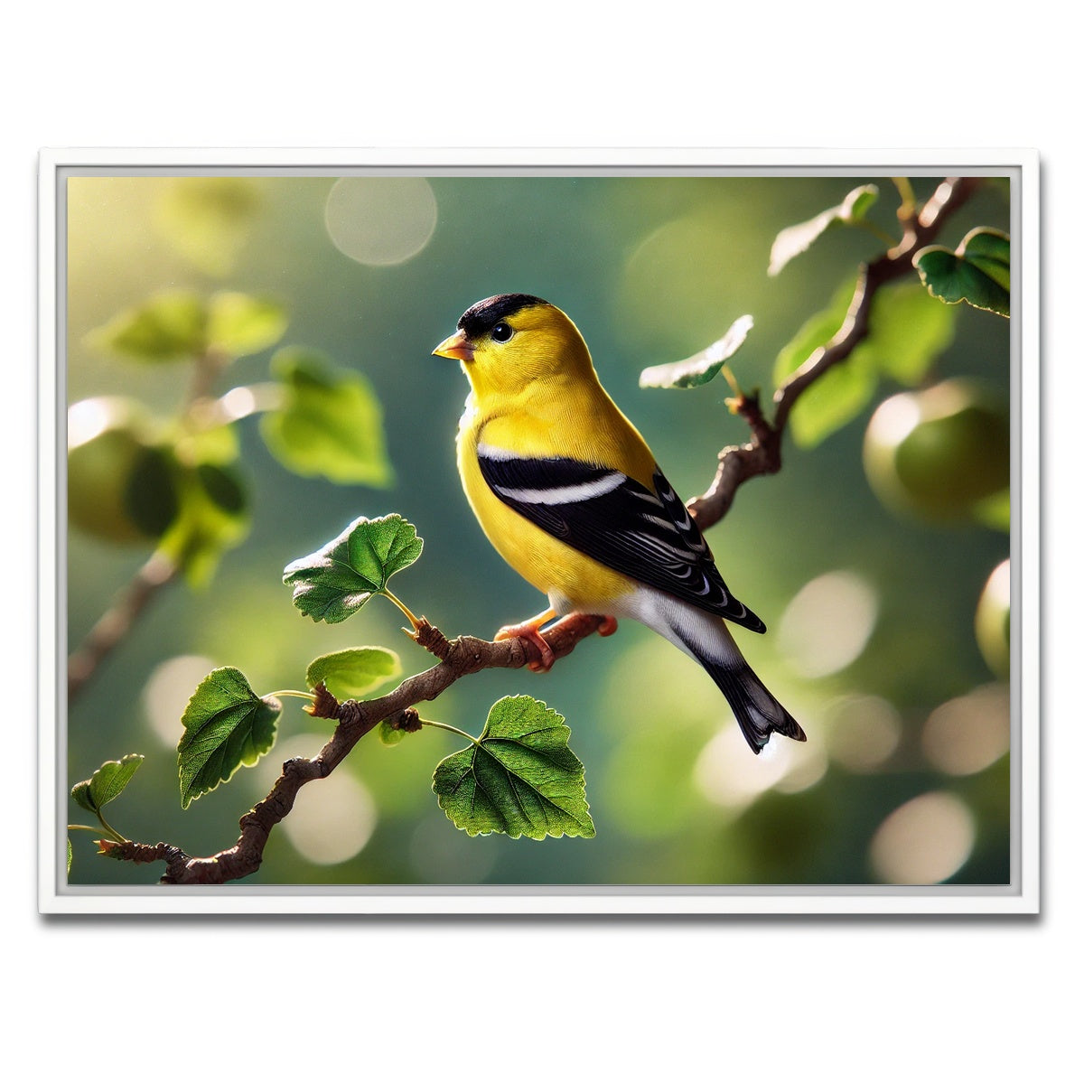AUTO-MOCKUP WHITE | Goldfinch | 1 Piece | White Framed Canvas | group=4x3
