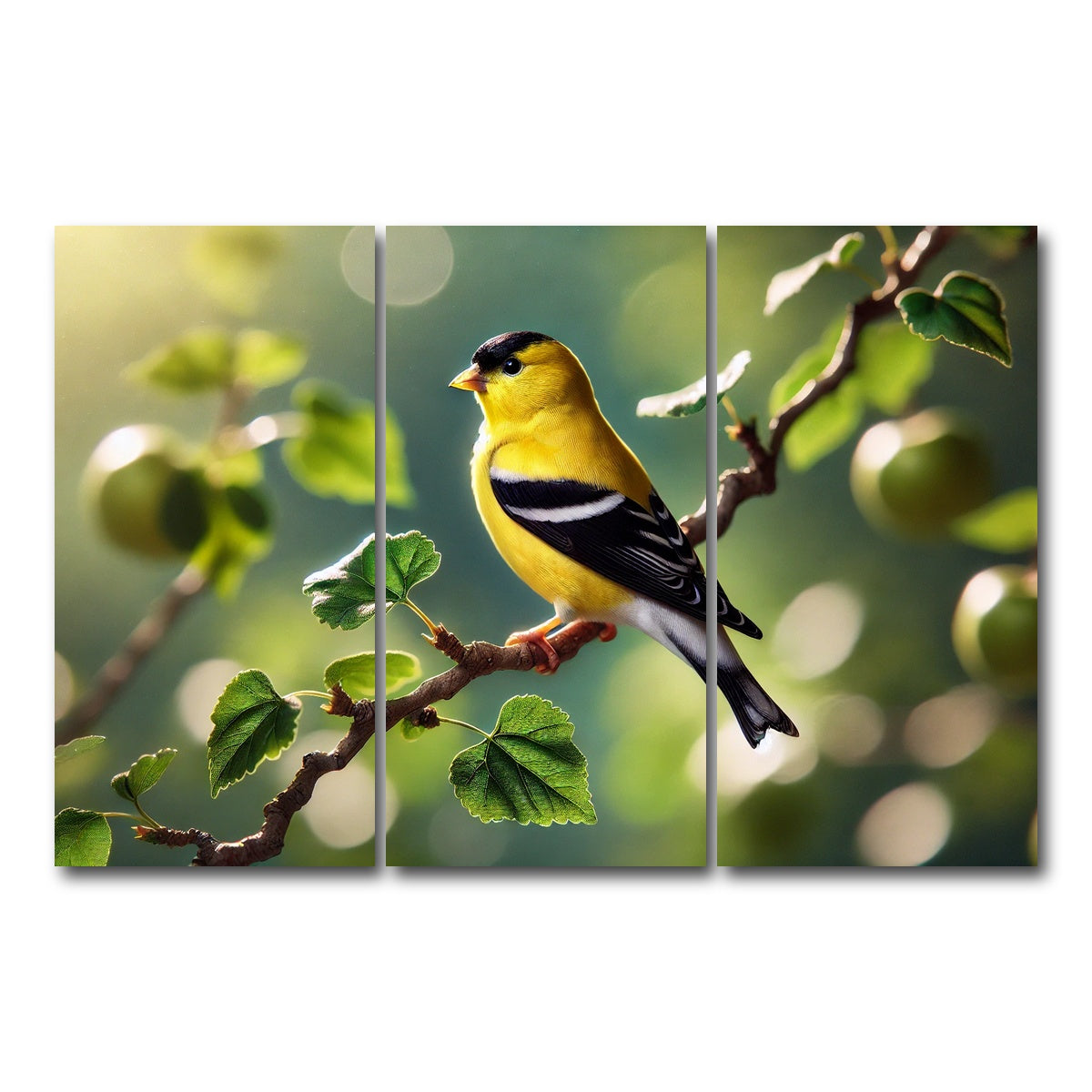 AUTO-MOCKUP WHITE | Goldfinch | 3 Piece | Gallery Wrap Canvas | group=12x24