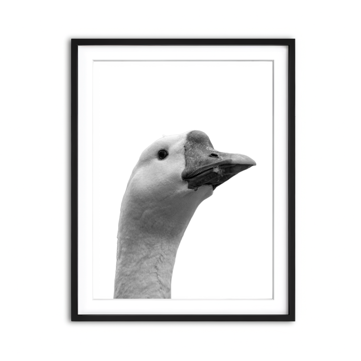 Framed Print 3x4 Black