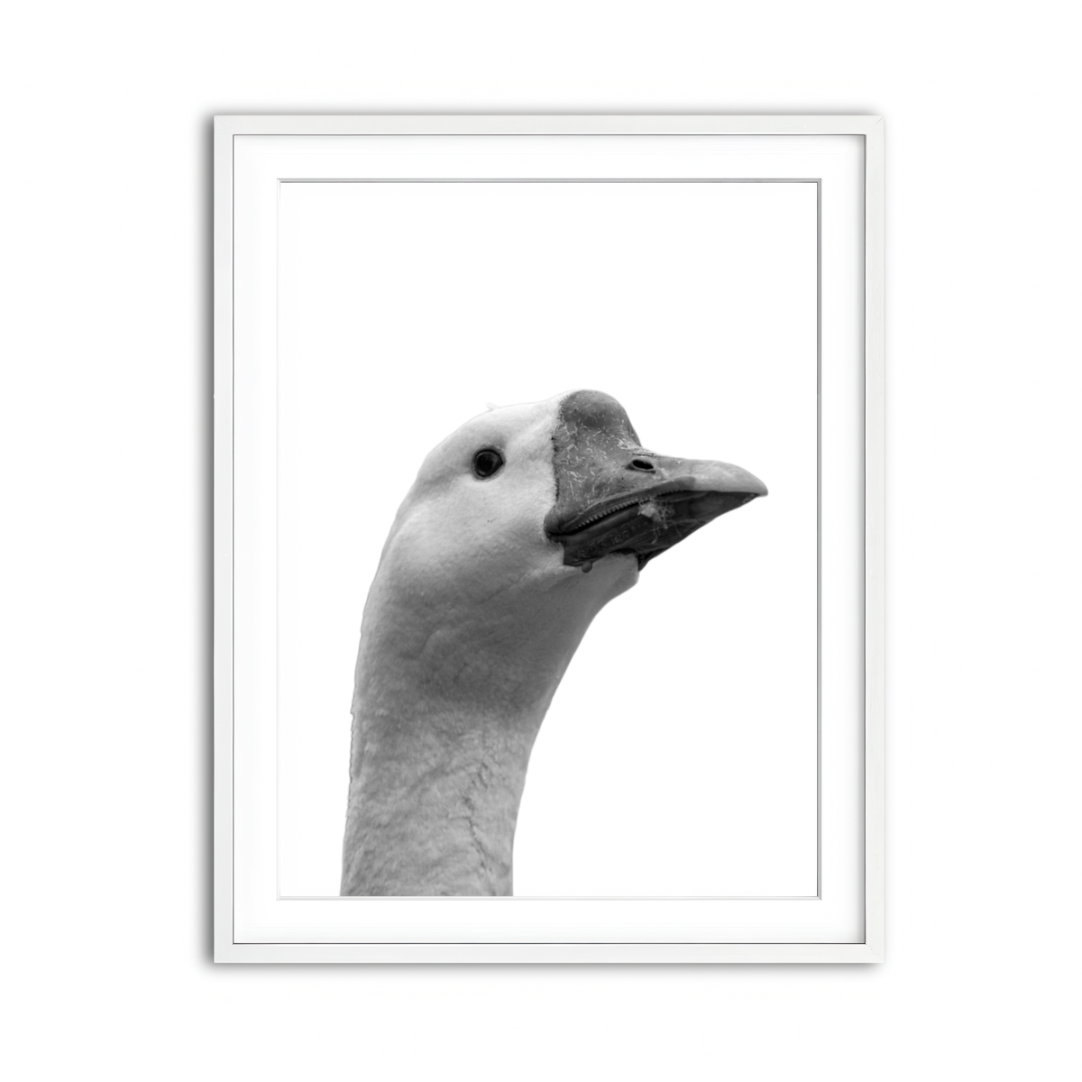 Framed Print 3x4 White