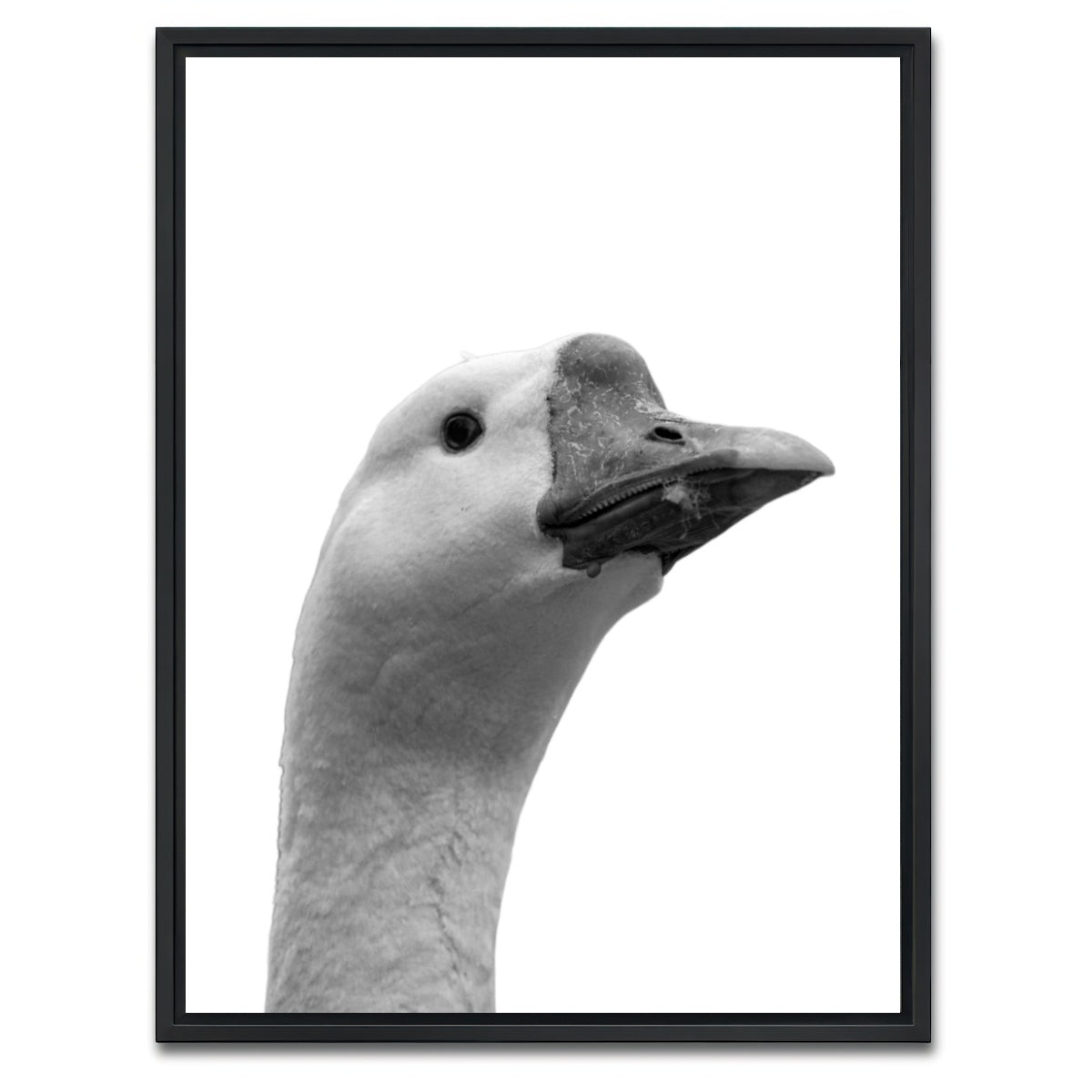 AUTO-MOCKUP WHITE | Goose Head | 1 Piece | Black Framed Canvas | group=3x4