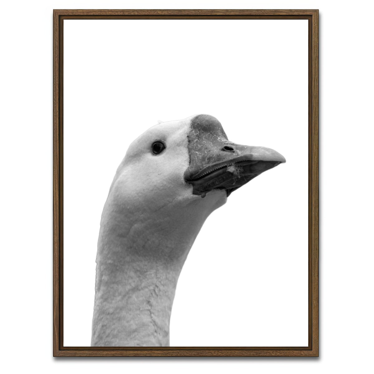 AUTO-MOCKUP WHITE | Goose Head | 1 Piece | Walnut Framed Canvas | group=3x4