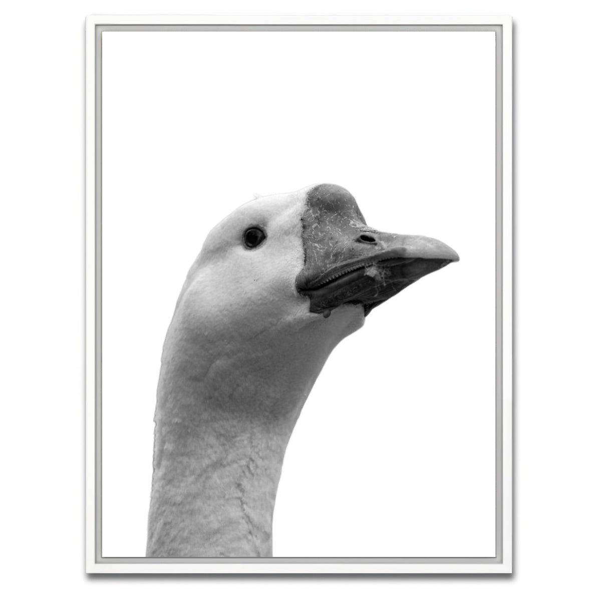 AUTO-MOCKUP WHITE | Goose Head | 1 Piece | White Framed Canvas | group=3x4