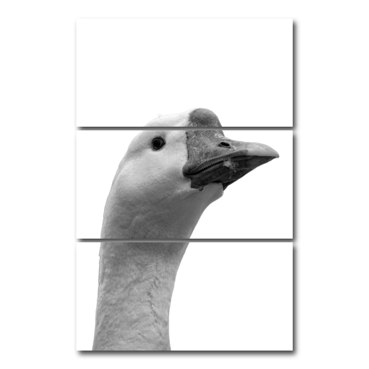 AUTO-MOCKUP WHITE | Goose Head | 3 Piece | Gallery Wrap Canvas | group=12x24_stacked